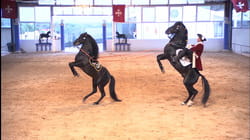 Menorca - The Riders of San Juan