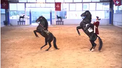 Menorca - The Riders of San Juan