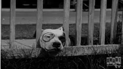 Little Rascals Shorts: Dog Heaven