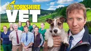 The Yorkshire Vet