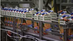 Drilling Solid Rock and More