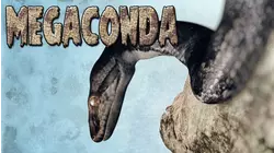 Megaconda