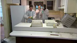 Don't Let the Bed Bugs Bite -- Zombie House Flipping