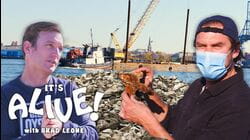 Brad Restores Oyster Reefs