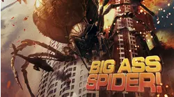 Big Ass Spider!