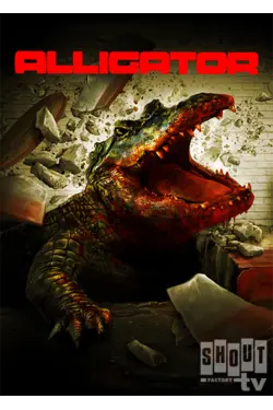 Alligator