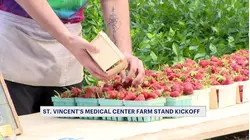 St. Vincent's Medical Center hosts farm stand kickoff