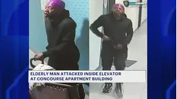 74-year-old man attacked inside elevator at Concourse building