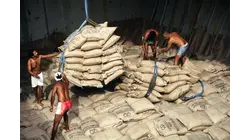 How Brazil Dominates Sugar Production Without Burning Fields