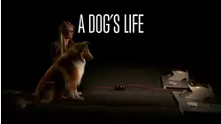 A Dog's Life