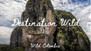 Destination Wild - Wild Europe
