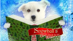 Snowball's Christmas Tail by the Fire