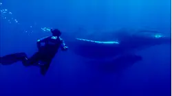 Romania: Transylvania