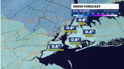 Chilly Monday in Brooklyn before wintry mix and rain arrives