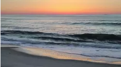 Preview - The Morning Ocean