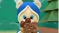 Book Hungry Bears