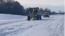 Más de 190 millones de personas están bajo alerta por el frío polar que llegará hasta Florida