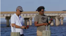 Sweet Home (Mobile) Alabama