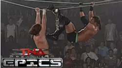Best of Ultimate X