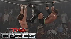 Best of Ultimate X
