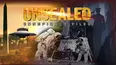Unsealed Conspiracy Files