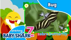 Learn ABC with Baby Shark Bug