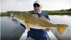Cajun 1: Mr. Wallace
