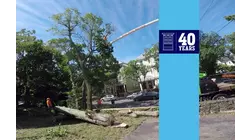 Next-generation Demolition | Brookline Mid-century Modern House
