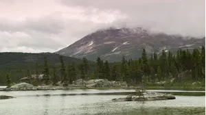 Romance with Nature