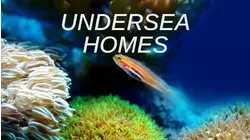 Undersea Homes