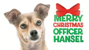 Merry Christmas Officer Hansel