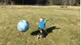 Best Fails of the Month
