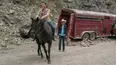 Heartland