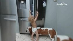 Funniest Odd Couples