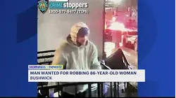 Man on the run after taking 86-year-old woman's purse, offering her help in Bushwick