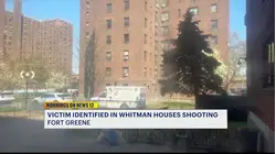 Police identify victim of fatal Fort Greene shooting