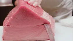 How A 600 Pound Tunafish Sells For $3 Million At The Largest Fish Market In The World