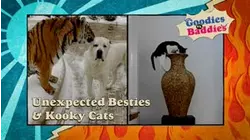 Goodies VS. Baddies | Unexpected Besties & Kooky Cats
