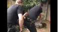 World's Wildest Police Videos