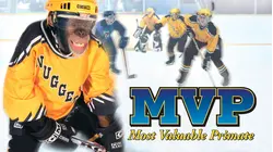 MVP: Most Valuable Primate