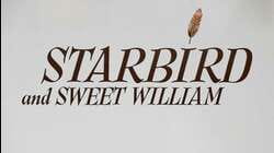 Starbird and Sweet William