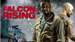 Falcon Rising