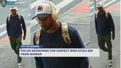 Man wanted for stealing bag containing $1K in The Bronx