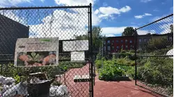 Rebuilding Brooklyn: Ocean Hill Community Garden gets revamp