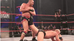 TNA Lockdown 2010