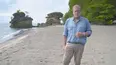 The Travel Detective