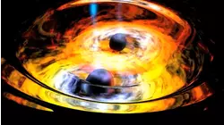 Black Holes