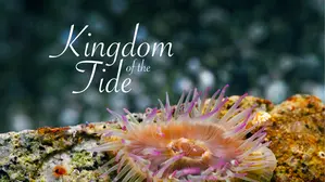 Kingdom of the Tide