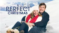 A Perfect Christmas