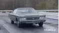 Detroit Muscle